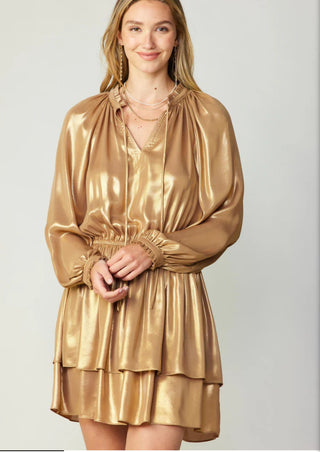 metallic dress